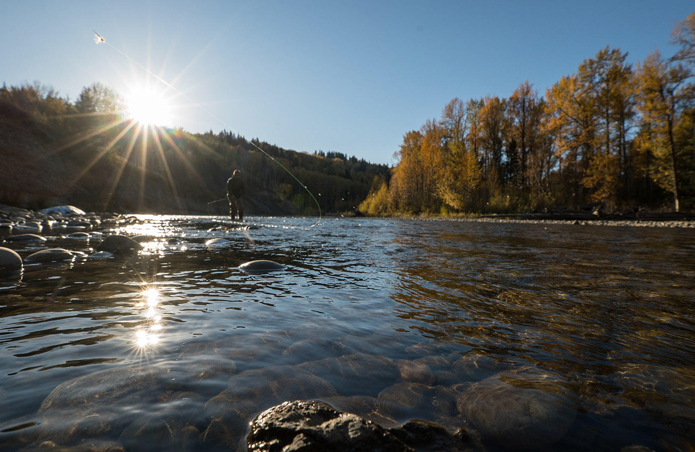 Fly fishing on Creek River