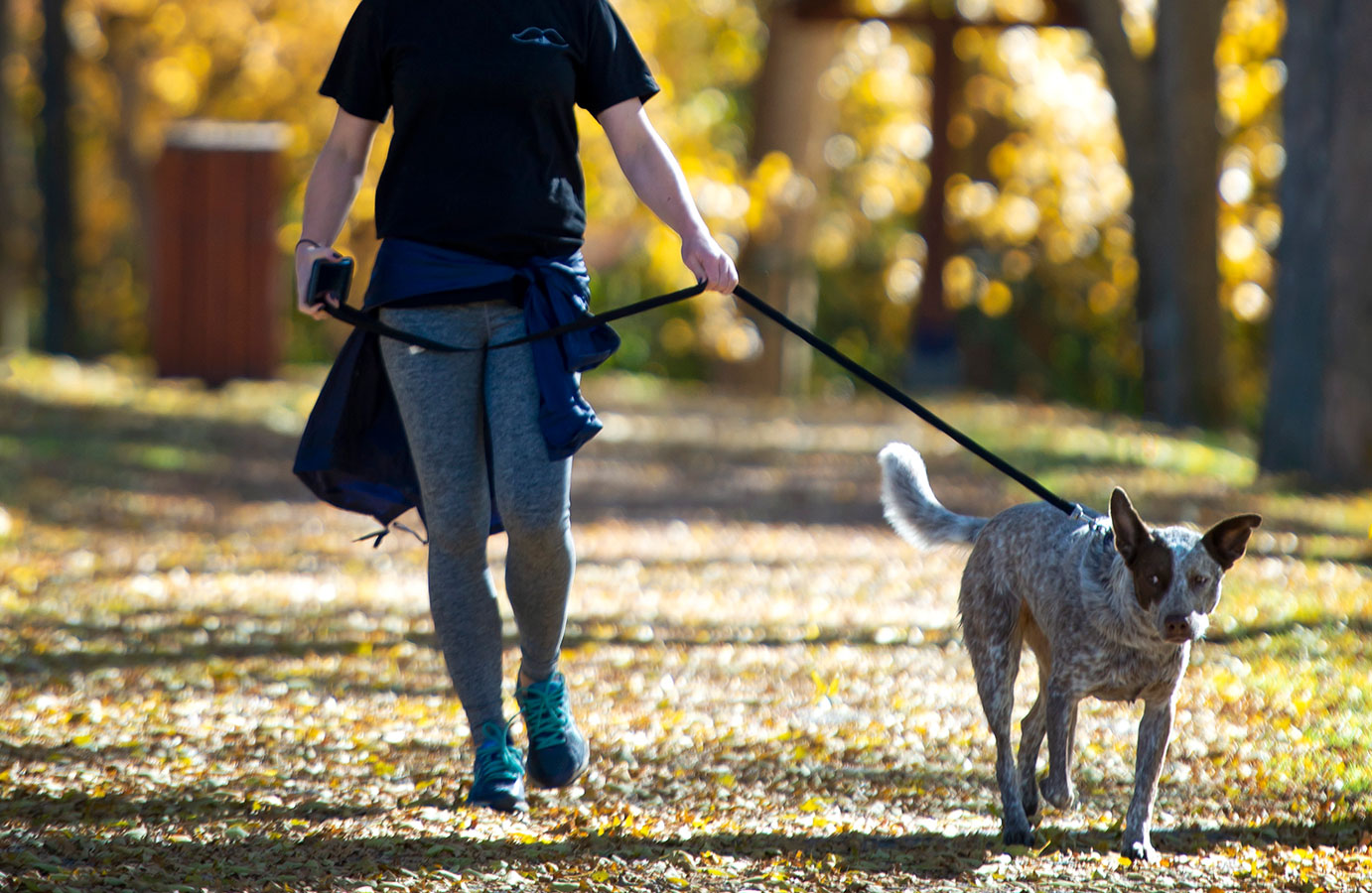 Person walking Dog on Riverfront Trail