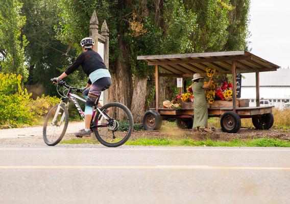 Bike riding past outdoor stand